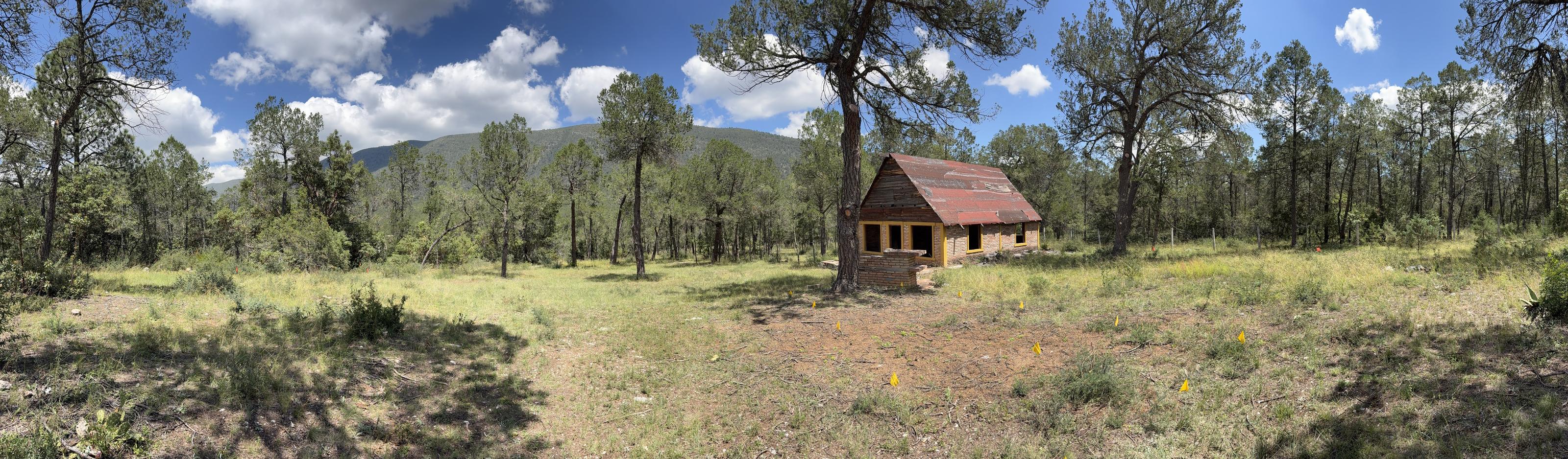 Panorámica del lote con la cabaña rústica, pinos y la sierra al fondo