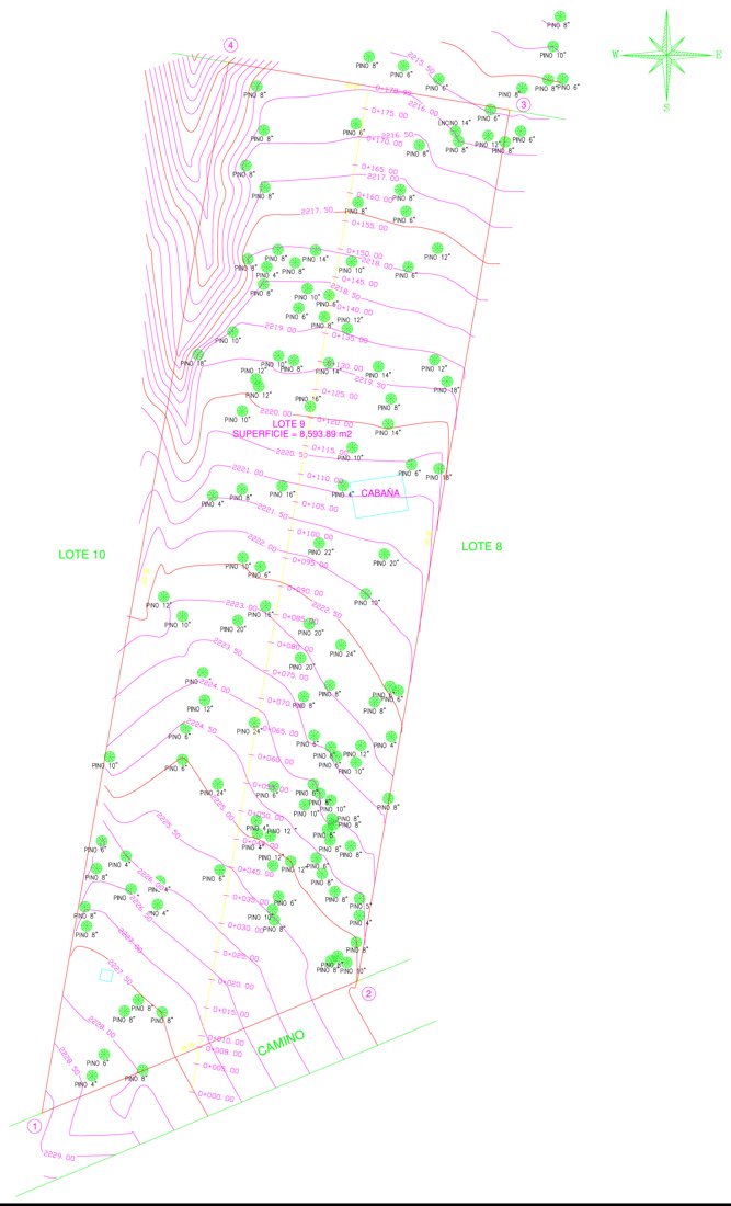 Plano topográfico del Lote 9 con curvas de nivel y árboles